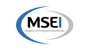 Logo MSEI