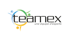 Logo Teamex